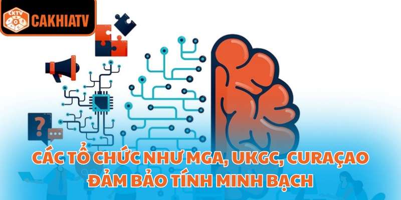 Các tổ chức như MGA, UKGC, Curaçao đảm bảo tính minh bạch